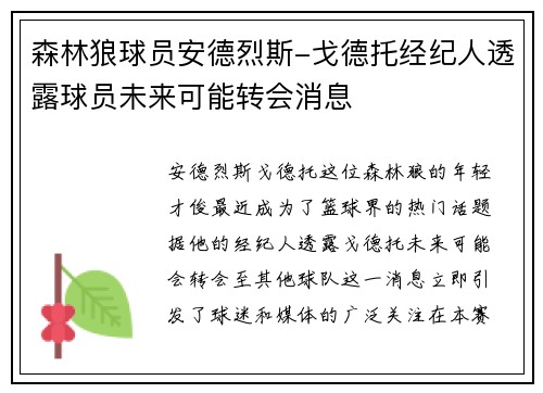 森林狼球员安德烈斯-戈德托经纪人透露球员未来可能转会消息